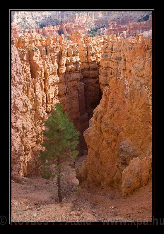 Bryce Canyon 44.jpg